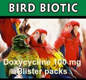 Bird Biotic (Doxy)100mg 100 Capsule - Easybey
